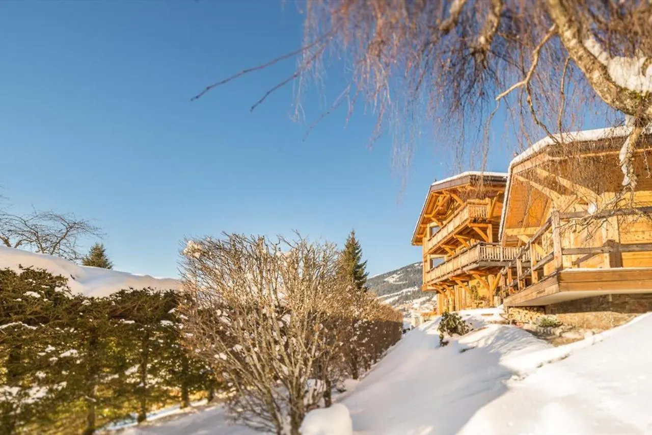 Chalet Le Joyau Des Neiges